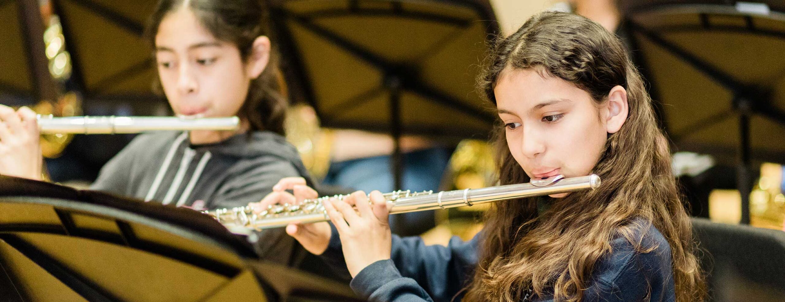 Brass & Woodwind Lessons  National Conservatory of Arts