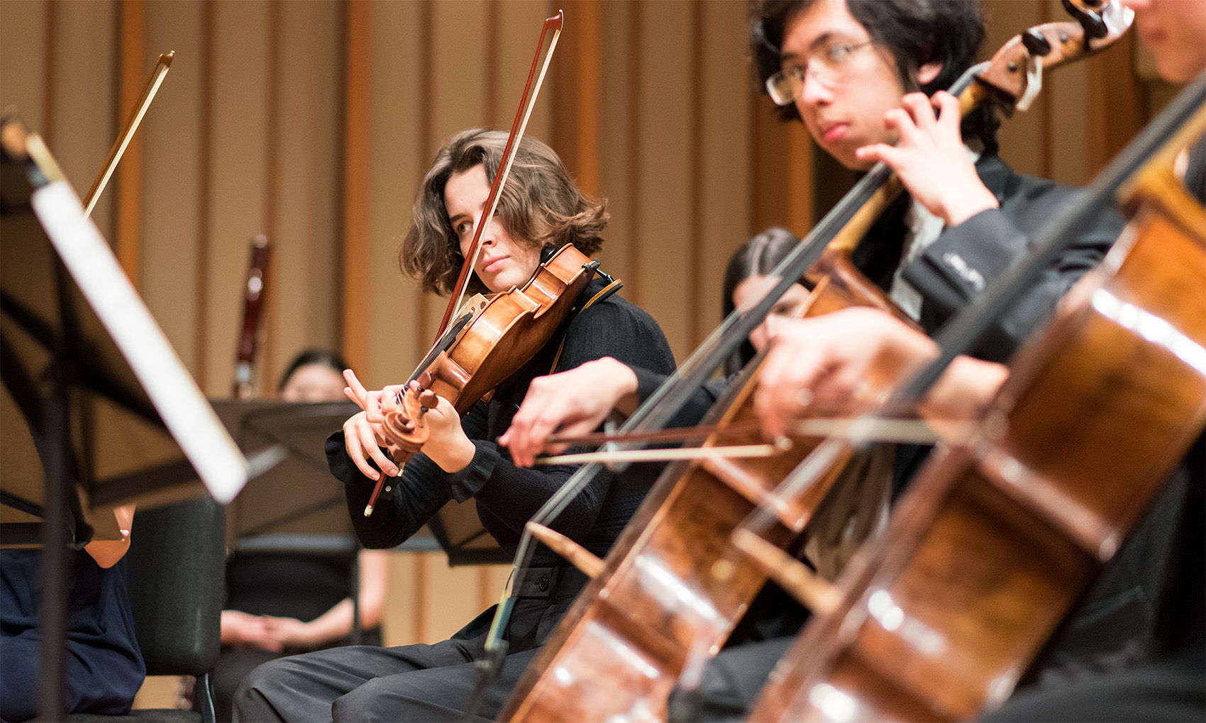 String Festival Concert