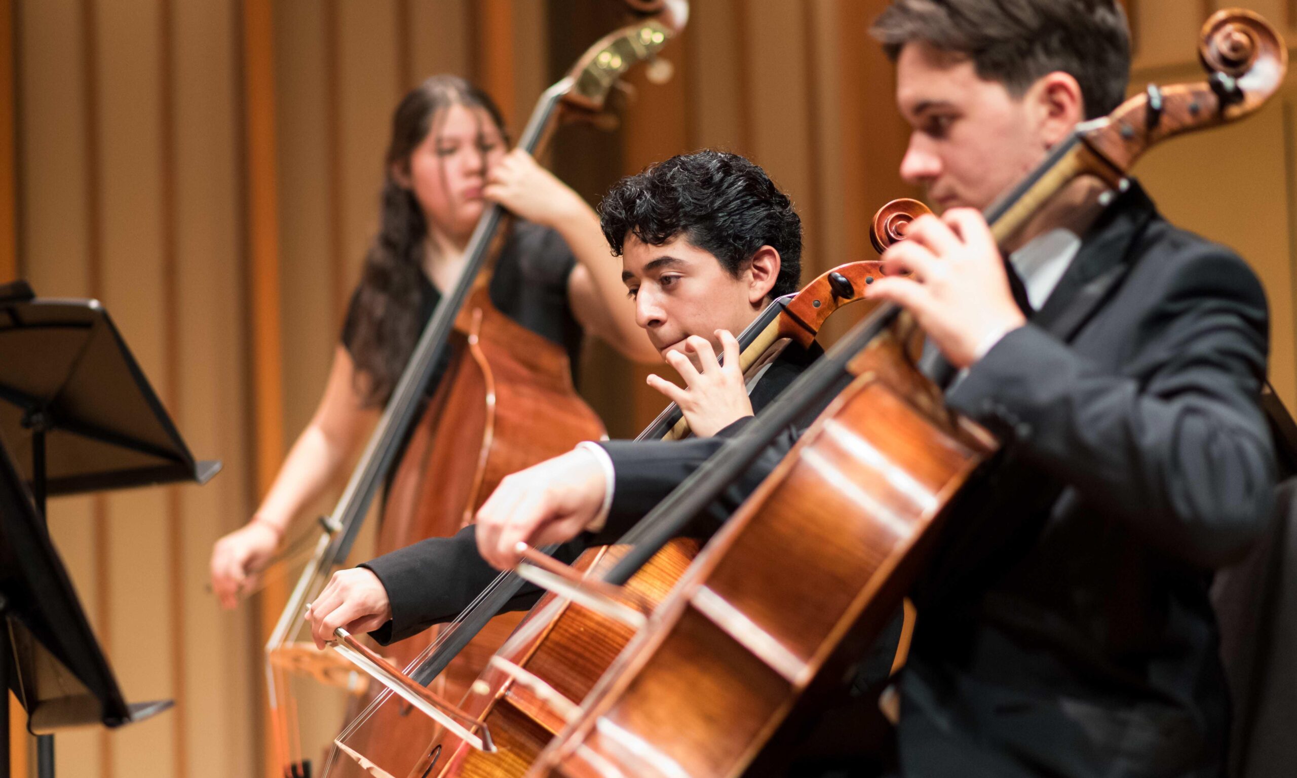 Community School Youth Orchestra