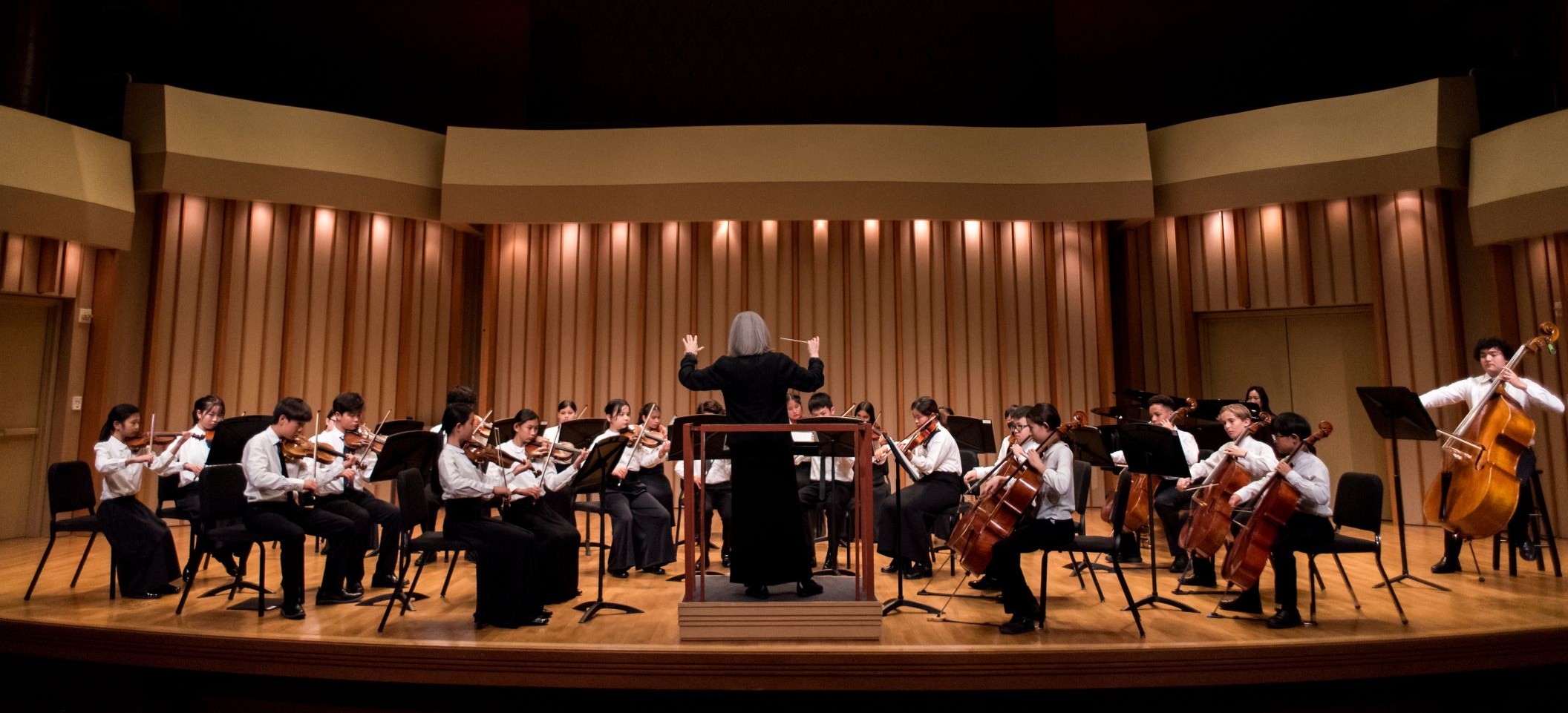 Community School String Festival Concert
